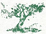 landscaping logo